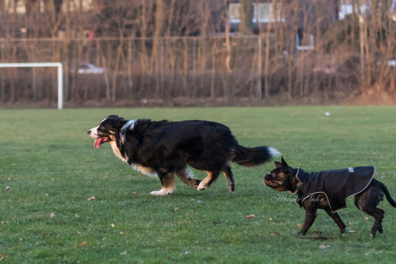 Bild 59 - Hundeshooting